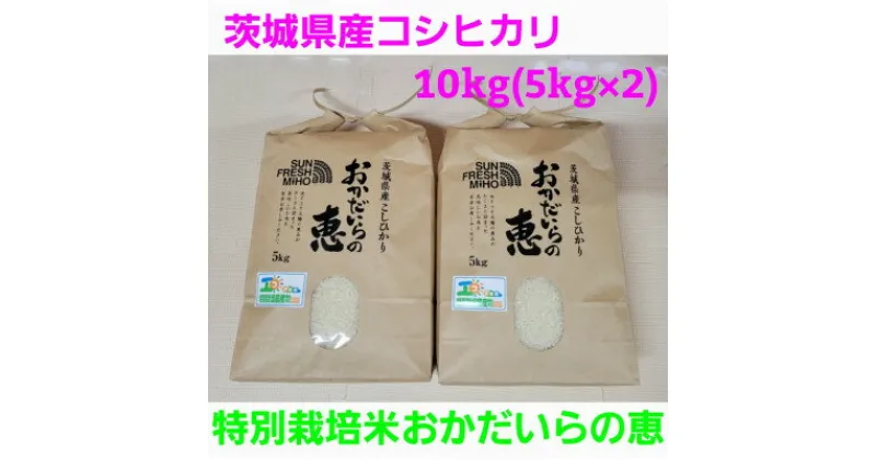 【ふるさと納税】【令和6年産】茨城県産コシヒカリ 特別栽培米おかだいらの恵10kg　精米(5kg×2袋)【1294946】