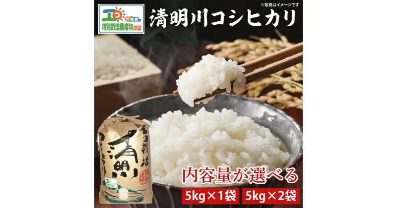 【ふるさと納税】【選べる内容量】04-01 茨城県特別栽培認証 清明川コシヒカリ白米【令和6年産新米】【米 おこめ こしひかり 特別栽培米 農家直送 直送 茨城県 阿見町】