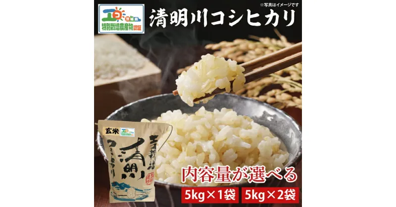 【ふるさと納税】【選べる内容量】04-19 茨城県特別栽培認証 清明川コシヒカリ玄米　5kgまたは10kg【令和6年産新米】【米 おこめ こしひかり 特別栽培米 農家直送 直送 茨城県 阿見町】