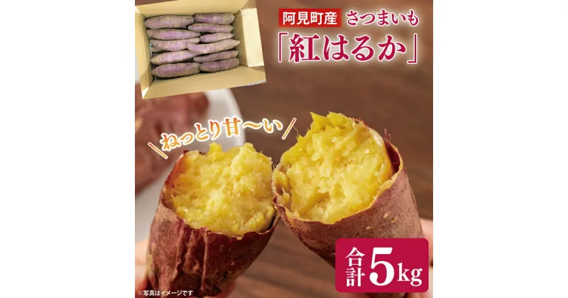 【ふるさと納税】04-10【先行予約】茨城県阿見町産 さつまいも 紅はるか 5kg×1【サツマイモ 生芋 べにはるか 阿見町 茨城県】