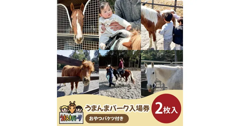 【ふるさと納税】55-01 うまんまパーク入場券（おやつバケツ付き）2枚セット【馬 パーク 牧場 乗馬 入場券 茨城県 阿見町】