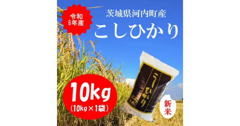 【ふるさと納税】令和6年産茨城県河内町産コシヒカリ10kg(10kg×1袋)【配送不可地域：離島・沖縄県】【1254349】