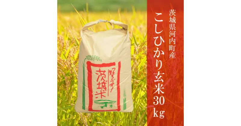 【ふるさと納税】令和6年産茨城県河内町産コシヒカリ30kg(玄米)【配送不可地域：離島・沖縄県】【1252387】