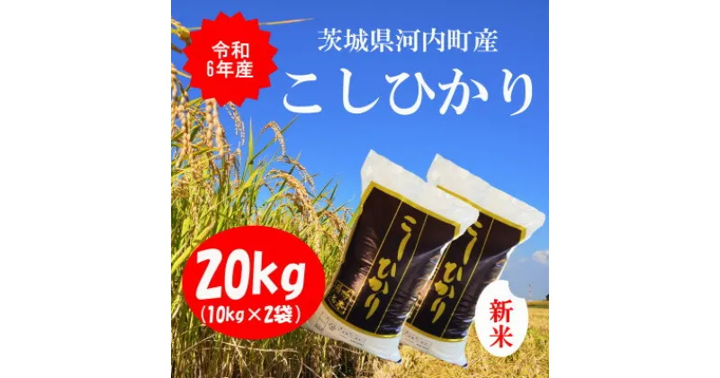 【ふるさと納税】令和6年産茨城県河内町産コシヒカリ20kg(10kg×2袋)【配送不可地域：離島・沖縄県】【1254350】