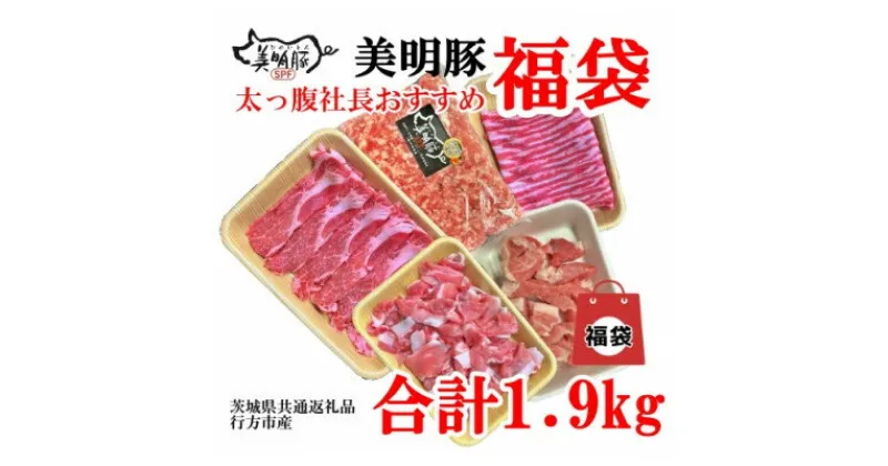 【ふるさと納税】【美明豚】福袋セット(茨城県共通返礼品・行方市産)【配送不可地域：離島・沖縄県】【1450833】