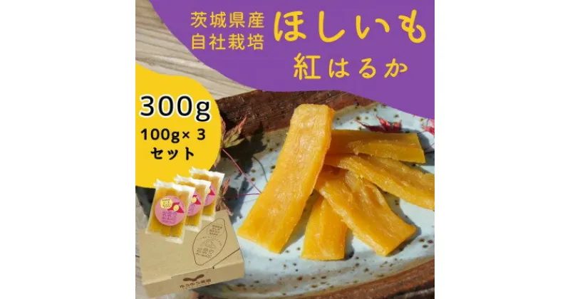 【ふるさと納税】山田のややこ -おいものこ- ほしいもセット 300g(100g×3個)【配送不可地域：離島・沖縄県】【1496157】