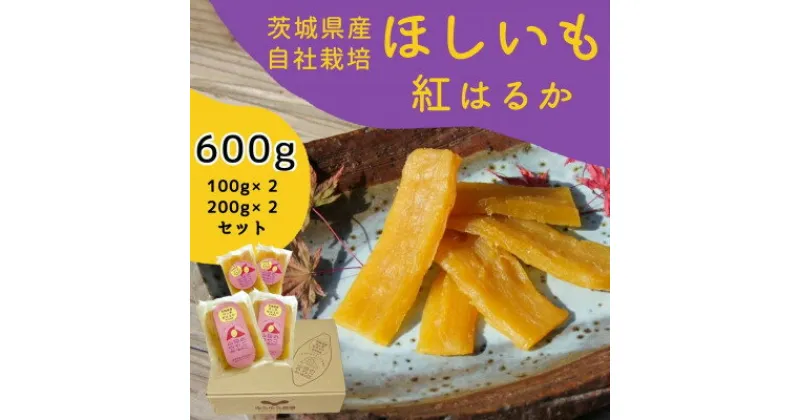 【ふるさと納税】山田のややこ -おいものこ- ほしいもセット 600g(100g×2個・200g×2個)【配送不可地域：離島・沖縄県】【1501790】