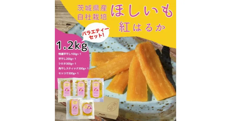 【ふるさと納税】山田のややこ -おいものこ- バラエティーセット 1.2kg【配送不可地域：離島・沖縄県】【1505115】