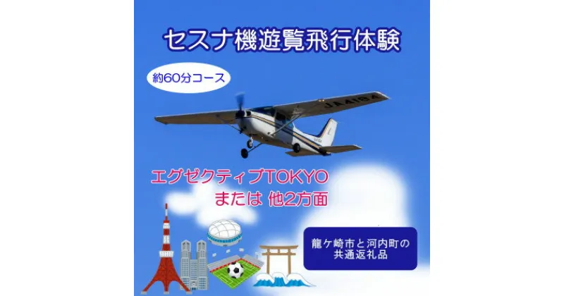 【ふるさと納税】【ペア】セスナ機遊覧飛行体験〈約60分コース〉(フライトN・O・P)　龍ケ崎市と河内町の共通返礼品【配送不可地域：離島・沖縄県】【1538690】