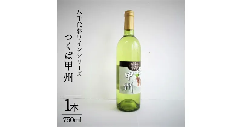 【ふるさと納税】八千代夢ワインシリーズ　つくば甲州（白ワイン）1本 母の日 父の日