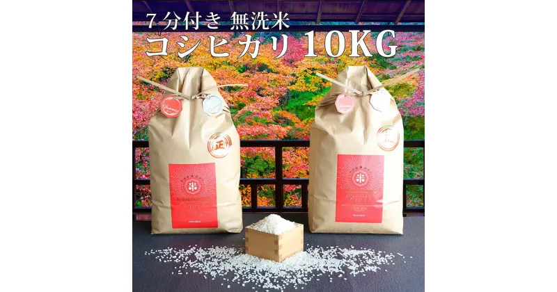 【ふるさと納税】ななひかり米 10kg （5kg×2）【 無洗米 】 米 こしひかり コシヒカリ こめ コメ ご飯 ごはん 茨城県 八千代町 41000円