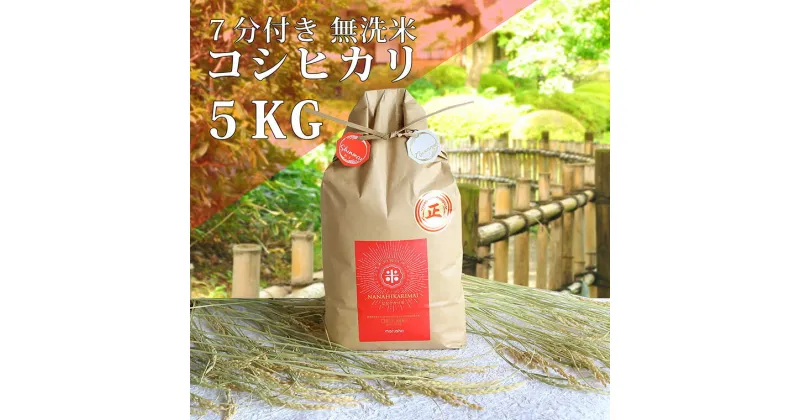 【ふるさと納税】ななひかり米 5kg 【 無洗米 】 米 こしひかり コシヒカリ こめ コメ ご飯 ごはん 茨城県 八千代町 20000円 [AR002ya]