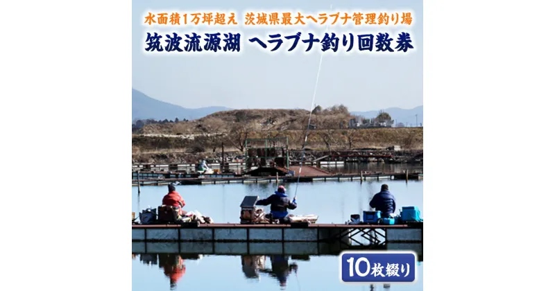 【ふるさと納税】筑波流源湖　ヘラブナ釣り回数券（10枚綴り）