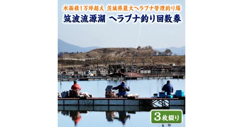 【ふるさと納税】筑波流源湖ヘラブナ釣り回数券（3枚綴り）