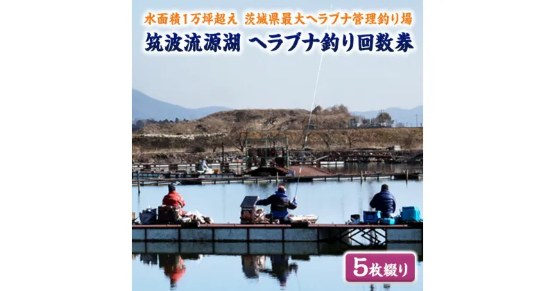 【ふるさと納税】筑波流源湖ヘラブナ釣り回数券（5枚綴り）