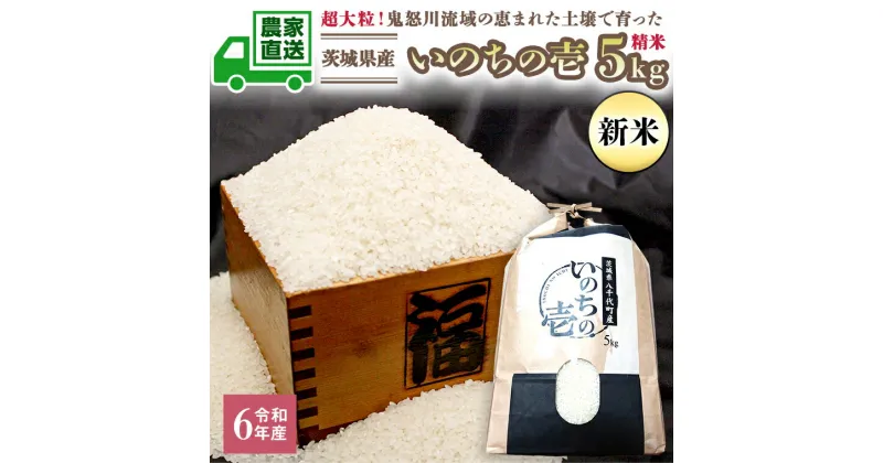 【ふるさと納税】令和6年産 茨城産 いのちの壱 5kg 精米 米 こめ コメ 茨城県 白米 国産 いばらき 単一米 直送