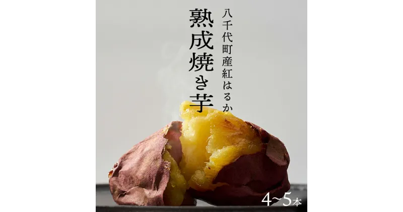 【ふるさと納税】【 先行予約 2025年1月以降発送 】 oimo_tokyo 熟成 焼き芋 八千代町産 紅はるか 4本 ～ 5本 冷蔵 冷やし やきいも 食物繊維 さつまいも 美容 健康 スイーツ おやつ 小分け 茨城県産