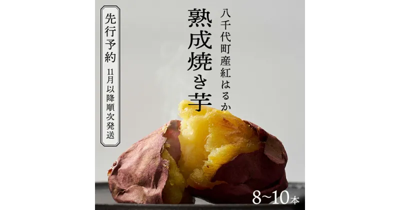 【ふるさと納税】【 先行予約 2025年1月以降発送 】 oimo_tokyo 熟成 焼き芋 八千代町産 紅はるか 8本～10本 冷蔵 冷やし やきいも 食物繊維 さつまいも 美容 健康 スイーツ おやつ 小分け 茨城県産