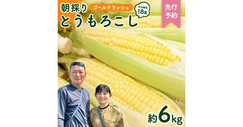 【ふるさと納税】【先行予約 令和7年 6月下旬 以降発送 】 朝採り とうもろこし （ ゴールドラッシュ ） 約 6kg トウモロコシ スイートコーン コーン 野菜 産地直送 期間限定 極甘 岩田さん 昼めし旅