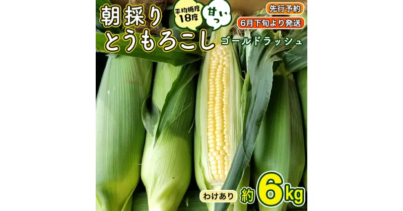 【ふるさと納税】【 先行予約 2025年 6月下旬 以降発送】【 令和7年産 】【 訳あり 】 朝採り とうもろこし （ ゴールドラッシュ ） 約 6kg トウモロコシ 野菜 産地直送 期間限定 岩田さん 昼めし旅