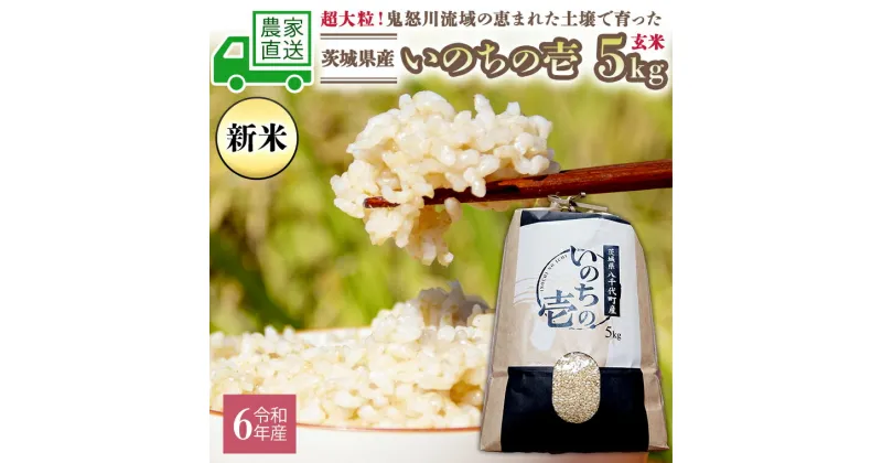 【ふるさと納税】令和6年産 茨城産 いのちの壱 5kg 玄米 米 こめ コメ 茨城県 国産 いばらき 単一米 直送 [BG004ya]