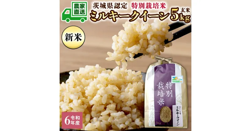 【ふるさと納税】令和6年産 茨城産 特別栽培米 ミルキークイーン 5kg 玄米 米 こめ コメ 茨城県 白米 国産 いばらき 単一米 直送