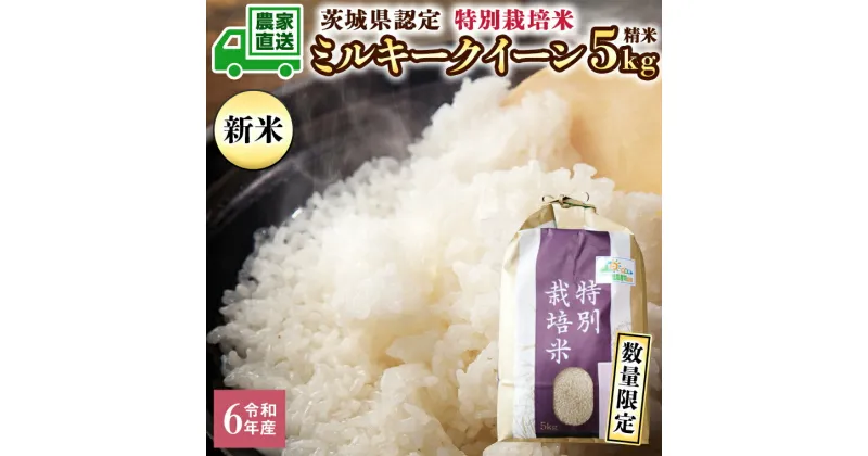 【ふるさと納税】令和6年産 茨城産 特別栽培米 ミルキークイーン 5kg 精米 米 こめ コメ 茨城県 白米 国産 いばらき 単一米 直送