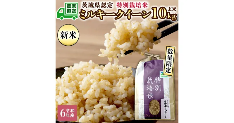 【ふるさと納税】令和6年産 茨城産 特別栽培米 ミルキークイーン 10kg 玄米 米 こめ コメ 茨城県 白米 国産 いばらき 単一米 直送