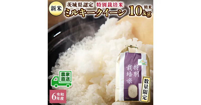 【ふるさと納税】令和6年産 茨城産 特別栽培米 ミルキークイーン 10kg 精米 米 こめ コメ 茨城県 白米 国産 いばらき 単一米 直送