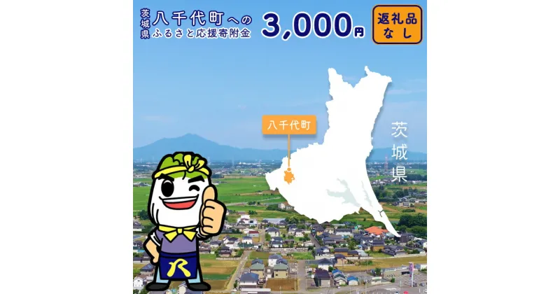 【ふるさと納税】 【 返礼品なし 】茨城県 八千代町 ふるさと応援寄附金 （ 3,000円 )