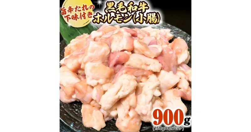 【ふるさと納税】茨城県産 黒毛和牛 ホルモン 小腸 900g （150g × 6パック） 旨辛たれ 下味付き BBQ バーベキュー 焼肉 冷凍 小分け