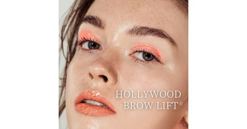 【ふるさと納税】HOLLYWOOD BROW LIFT® ( ハリウッドブロウリフト ) 眉 眉毛 眉毛パーマ メイク アイブロウ サロン