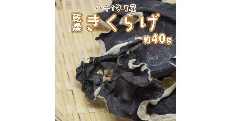 【ふるさと納税】 八千代町産 乾燥 きくらげ 約 40g キクラゲ 木耳 きのこ キノコ 乾燥 ふるさと納税 6000円 茨城県 八千代町