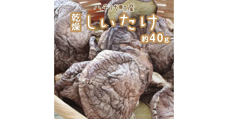 【ふるさと納税】 八千代町産 乾燥 しいたけ 約40g 椎茸 シイタケ きのこ キノコ 乾燥 ふるさと納税 6000円 茨城県 八千代町