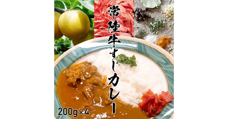 【ふるさと納税】常陸牛すじカレー 200g ×4 常陸牛 カレー 牛肉 時短 ふるさと納税 9000円