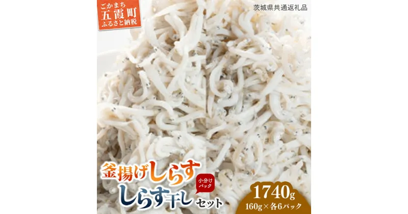 【ふるさと納税】釜揚げしらす・しらす干し各6パック（12個セット）（茨城県共通返礼品・大洗町産） ／ しらす 釜揚げしらす しらす干し 小分け 便利 とろける 食感 新鮮 冷凍 セット