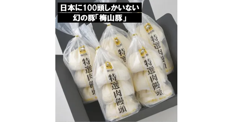 【ふるさと納税】塚原牧場の幻の豚「梅山豚」肉饅頭セット ｜肉 豚肉 豚まん 肉まん 国産 茨城県産