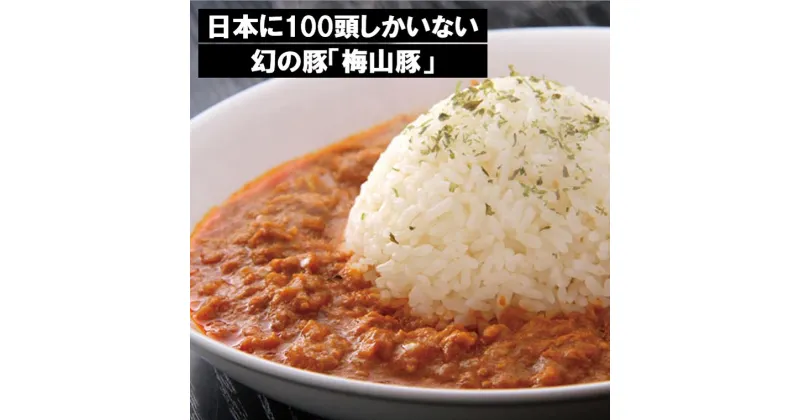 【ふるさと納税】塚原牧場 幻の豚 高級「梅山豚」 キーマカレー セット｜肉 豚肉 国産 冷凍