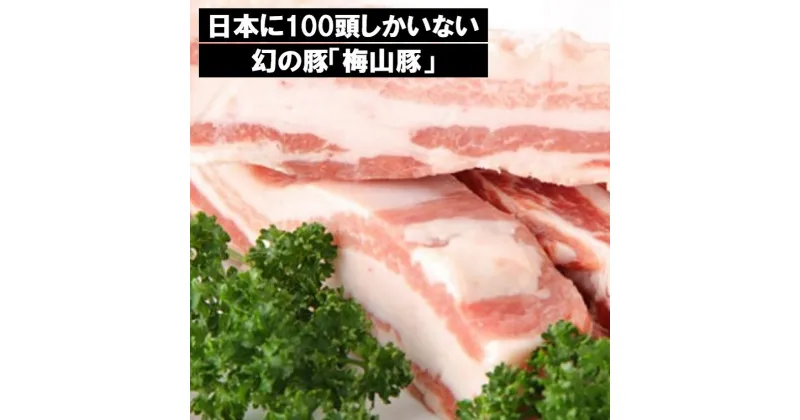 【ふるさと納税】塚原牧場 幻の豚 高級「梅山豚」豚バラ ブロック 約4.5kg ｜肉 豚肉 4500g 国産 茨城