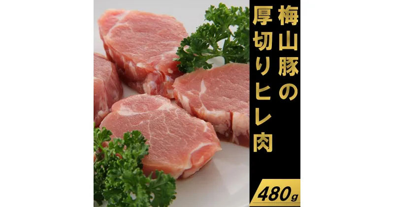 【ふるさと納税】塚原牧場の幻の豚「梅山豚」厚切りヒレ肉480g（160g×3個）｜肉 豚肉 フィレ 茨城県産 国産