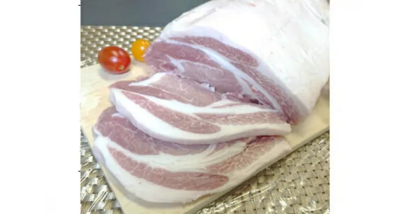 【ふるさと納税】茨城県産 豚肉ロースブロック約4.0kg