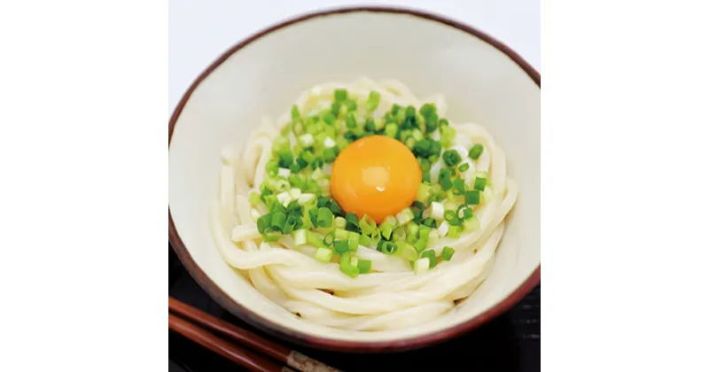 【ふるさと納税】茨城県 境町 境の手のばし麺 うどん 10人前×10箱｜うどん 茨城県産 国産