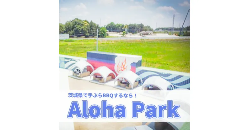 【ふるさと納税】茨城県境町 Aloha Park BBQ 施設 利用券