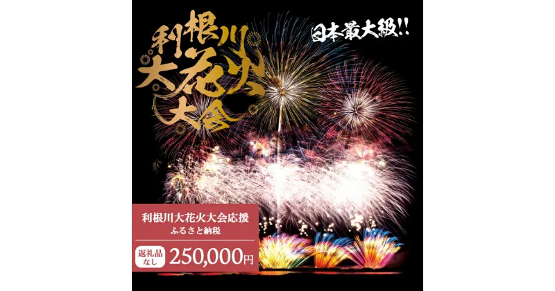 【ふるさと納税】【返礼品なし】利根川大花火大会応援ふるさと納税 (250000円分) 【茨城県境町】