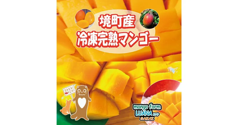 【ふるさと納税】境町産完熟冷凍マンゴー 500g | 茨城県 境町 マンゴー 冷凍