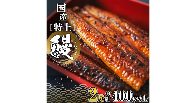 【ふるさと納税】国産 特上うなぎ 蒲焼き 2尾 (400g以上) 簡易袋 タレ 山椒付き | 茨城県 境町 うなぎ 2尾 国産 蒲焼 タレ 簡易袋