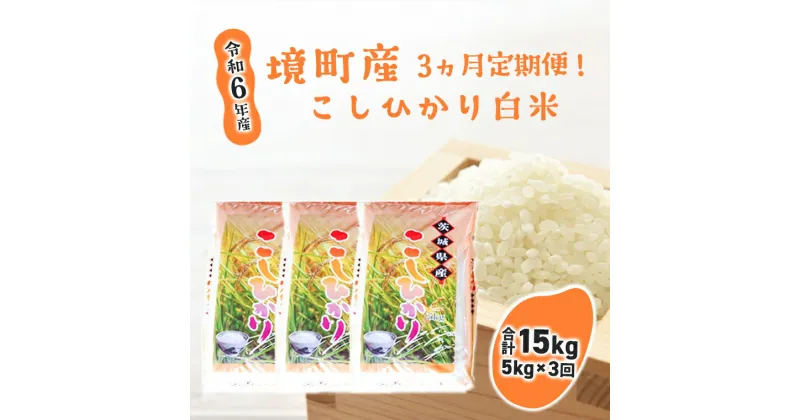 【ふるさと納税】【3ヶ月定期便】令和6年産 茨城県 境町産 こだわり「こしひかり」白米5kg×3回（合計15kg）| 米 2024年産 令和6年産 こしひかり コシヒカリ 白米 定期便 境町 茨城県産