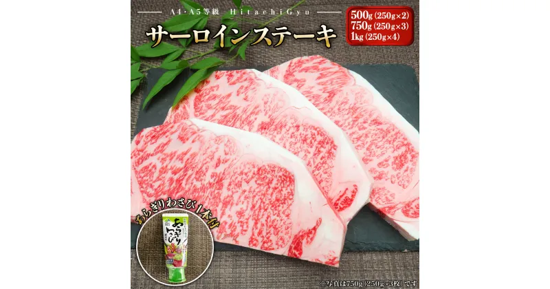 【ふるさと納税】常陸牛A5等級 サーロインステーキ 250g 2～4枚 あらぎりわさび1本付｜肉 牛肉 和牛 国産 茨城県産 A4 A5