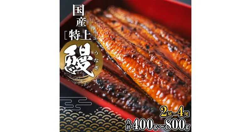 【ふるさと納税】国産 特上うなぎ 蒲焼き 2～4尾 (400g～800g以上) 簡易袋 タレ 山椒付き | 茨城県 境町 うなぎ 国産 蒲焼 タレ 簡易袋 国産 蒲焼 タレ ギフト 鰻 ウナギ 蒲焼き 土用の丑の日 ギフト 誕生日 母の日 父の日 2～4尾 (400g～800g以上)