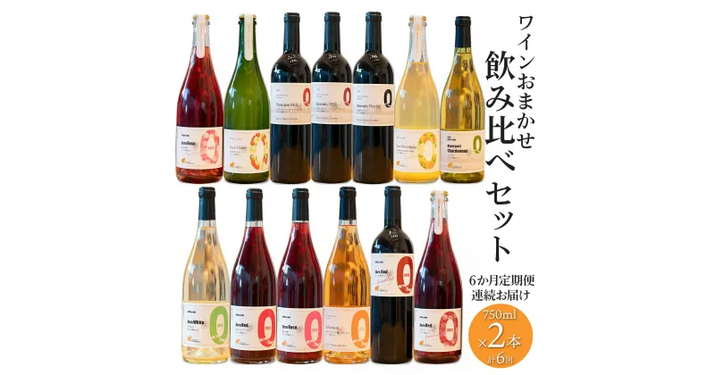 【ふるさと納税】 【6ヶ月定期便/毎月連続お届け】 境町ワイナリー ワイン おまかせ 飲み比べセット 750ml×2本｜ ワイン 洋酒 赤ワイン 白ワイン オレンジ シードル シャルドネロゼ 境町 ワイン セット ワイナリー スパークリング 定期便 毎月 6ヶ月